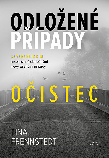 E-kniha Odložené případy: Očistec