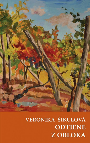 E-kniha Odtiene, Z obloka