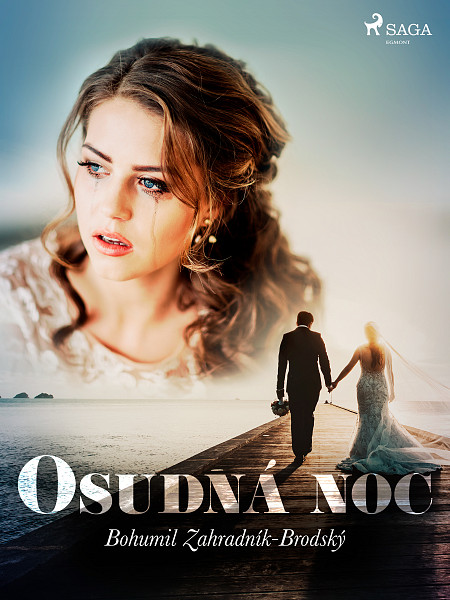 E-kniha Osudná noc