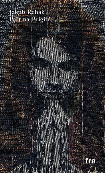 E-kniha Past na Brigitu