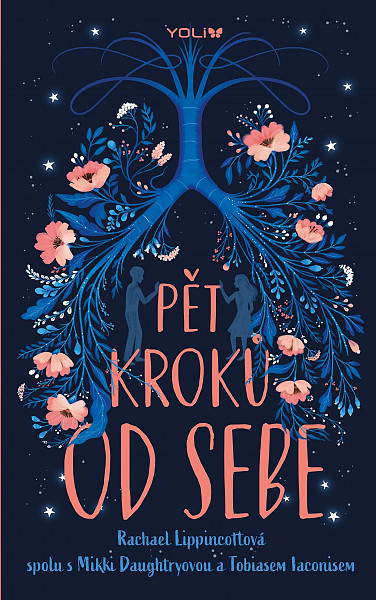 E-kniha Pět kroků od sebe