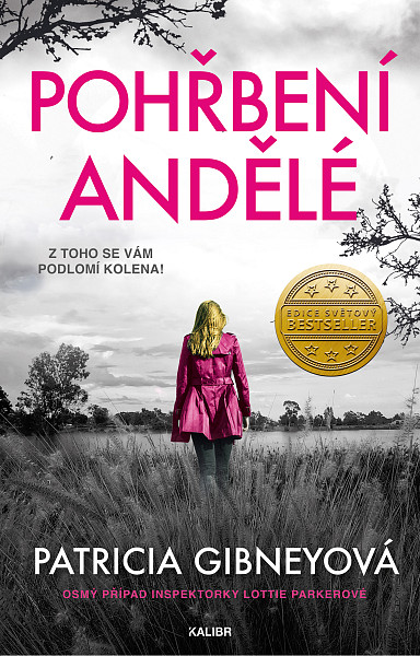 E-kniha Pohřbení andělé