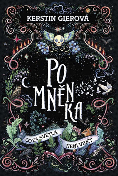 E-kniha Pomněnka: Co za světla není vidět