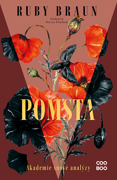 E-kniha Pomsta