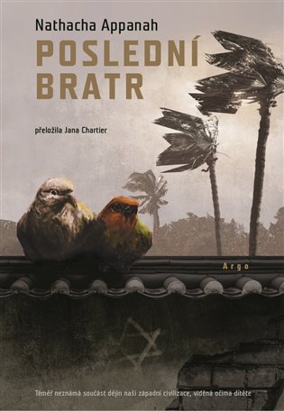 E-kniha Poslední bratr