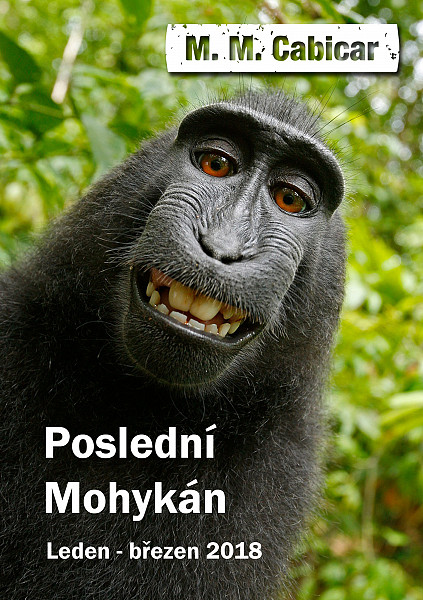E-kniha Poslední Mohykán