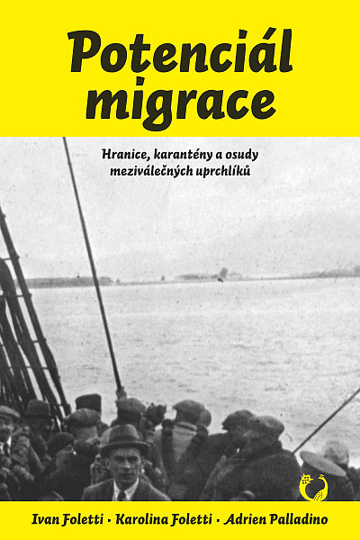 E-kniha Potenciál migrace
