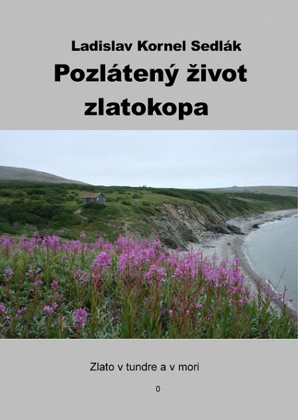 E-kniha Pozlátený život zlatokopa