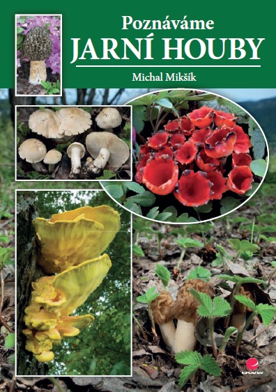 E-kniha Poznáváme jarní houby