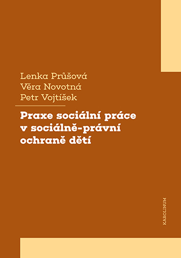 E-kniha Praxe sociální práce v sociálně-právní ochraně dětí