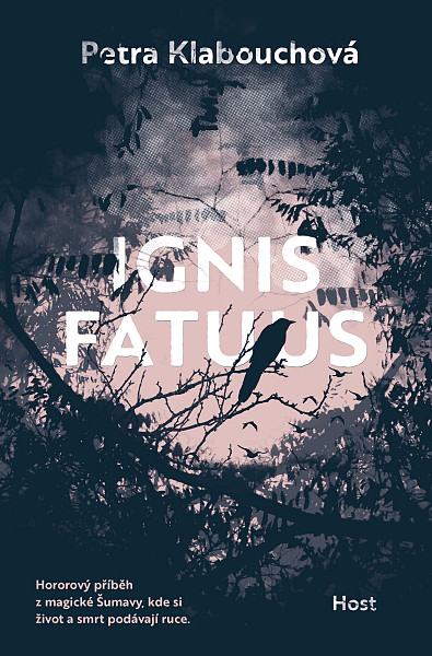 E-kniha Ignis fatuus
