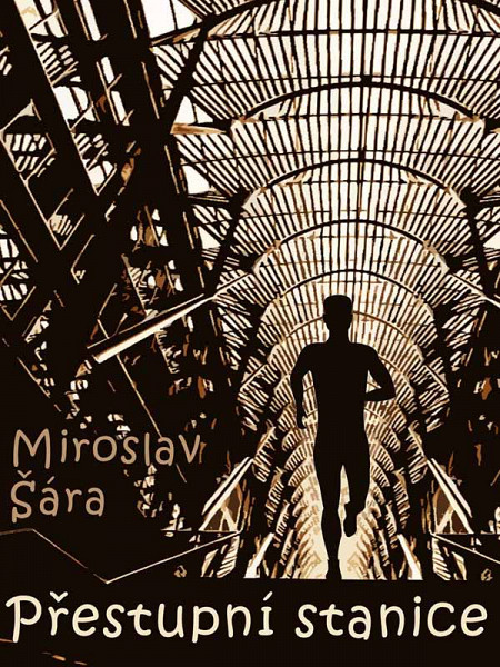 E-kniha Přestupní stanice