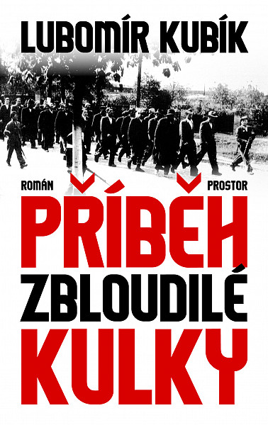 E-kniha Příběh zbloudilé kulky