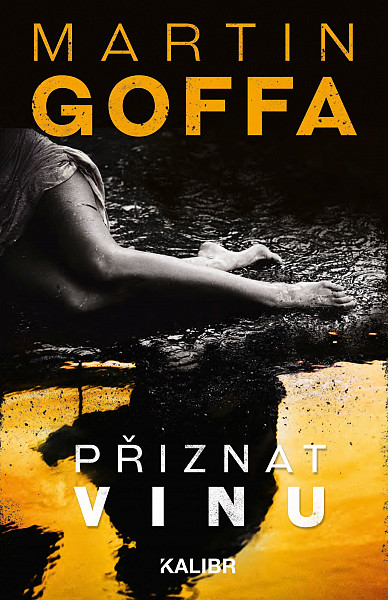 E-kniha Přiznat vinu