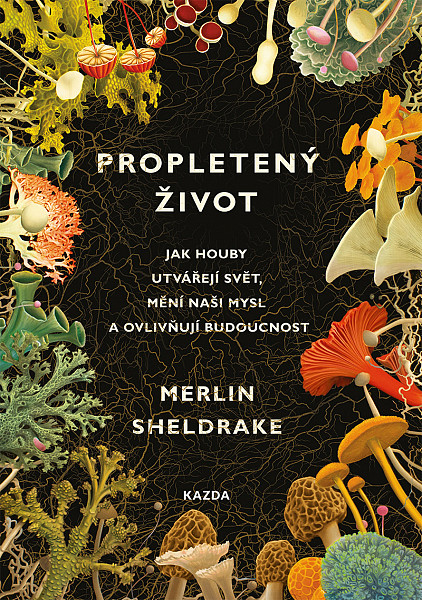 E-kniha Propletený život