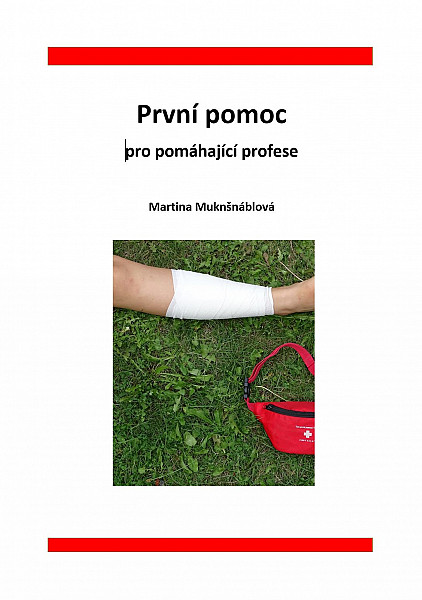 E-kniha První pomoc pro pomáhající profese