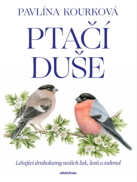 E-kniha Ptačí duše