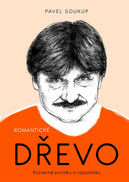 E-kniha Romantické dřevo