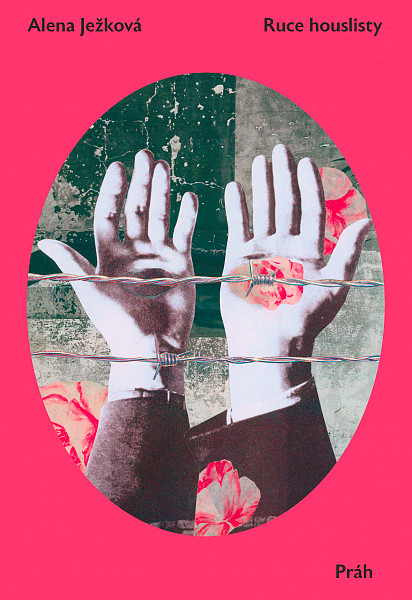 E-kniha Ruce houslisty