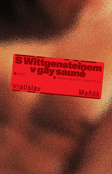 E-kniha S Wittgensteinem v gay sauně
