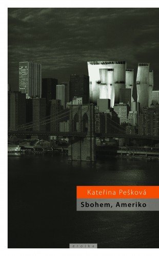 E-kniha Sbohem, Ameriko