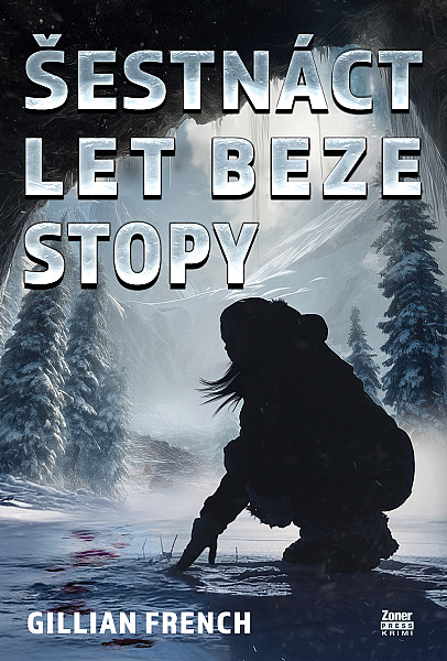 E-kniha Šestnáct let beze stopy