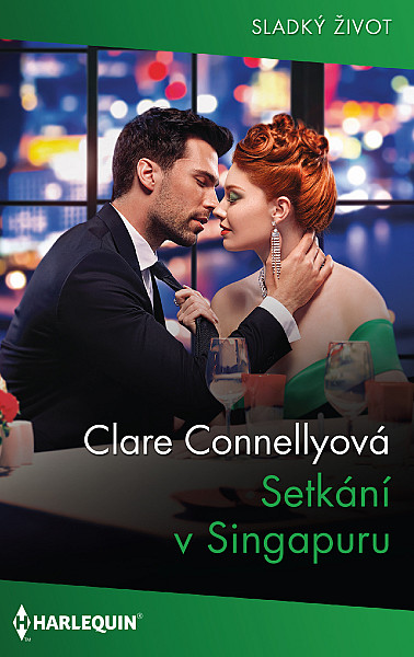 E-kniha Setkání v Singapuru
