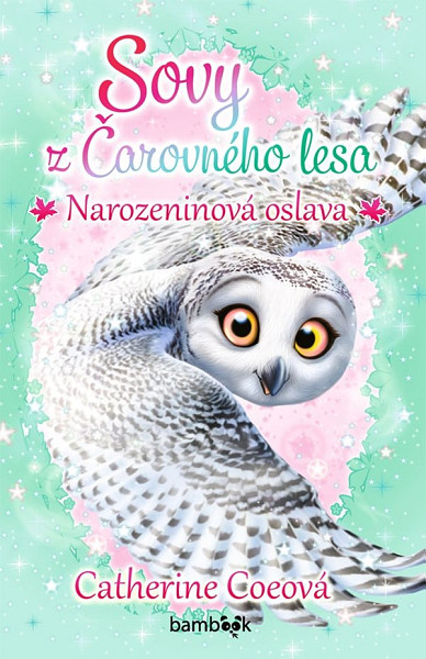 E-kniha Sovy z Čarovného lesa - Narozeninová oslava