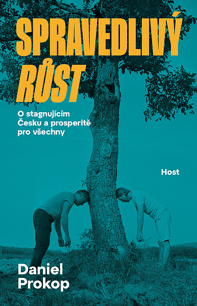 E-kniha Spravedlivý růst