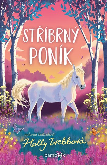 E-kniha Stříbrný poník