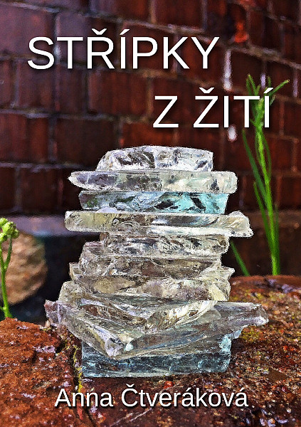 E-kniha Střípky z žití