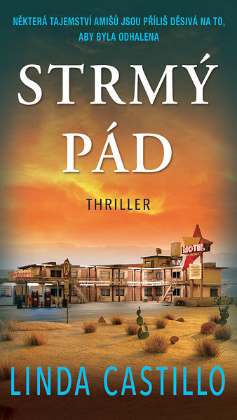 E-kniha Strmý pád
