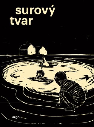 E-kniha Surový tvar