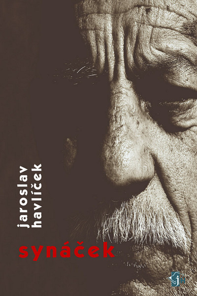 E-kniha Synáček