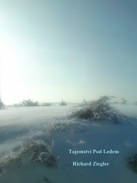 E-kniha Tajemství pod ledem