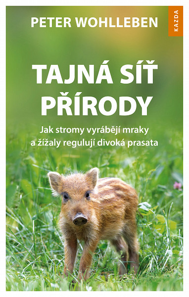 E-kniha Tajná síť přírody