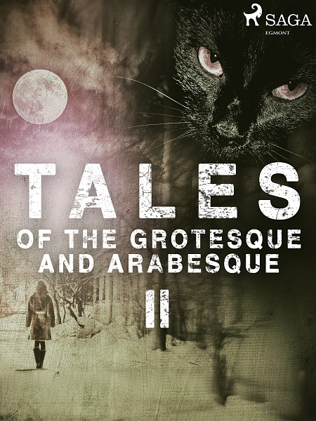 E-kniha Tales of the Grotesque and Arabesque II