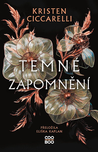 E-kniha Temné zapomnění