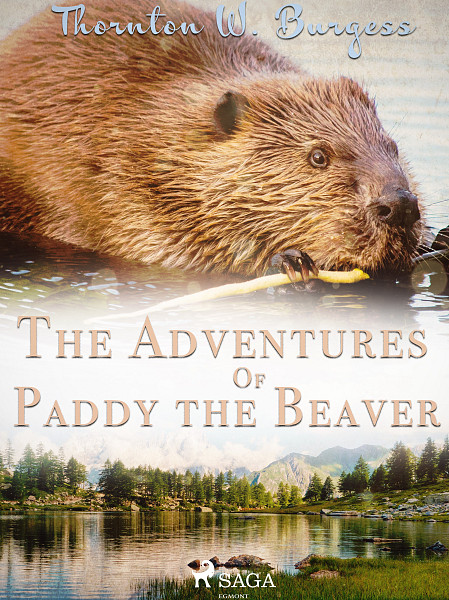 E-kniha The Adventures of Paddy the Beaver