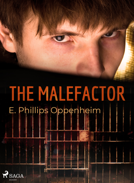 E-kniha The Malefactor
