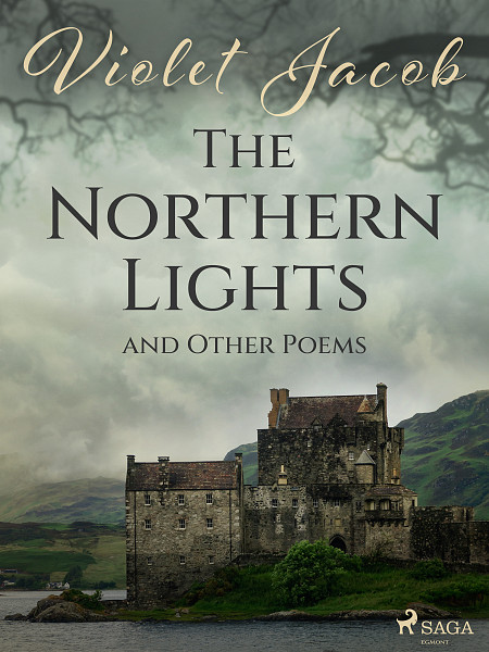 E-kniha The Northern Lights and Other Poems