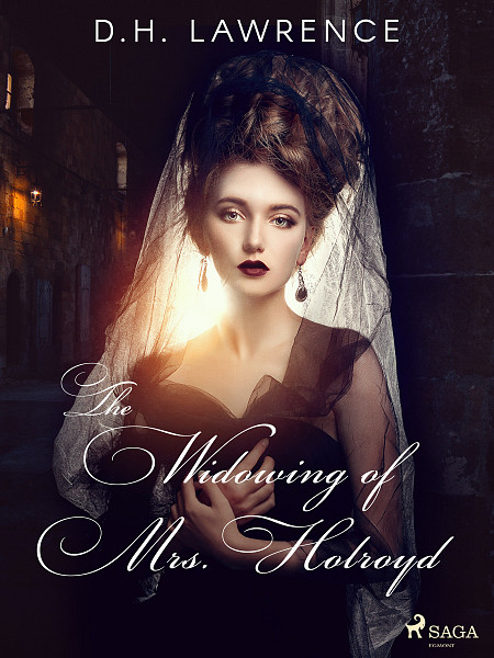 E-kniha The Widowing of Mrs. Holroyd