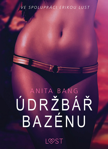 E-kniha Údržbář bazénu – Sexy erotika