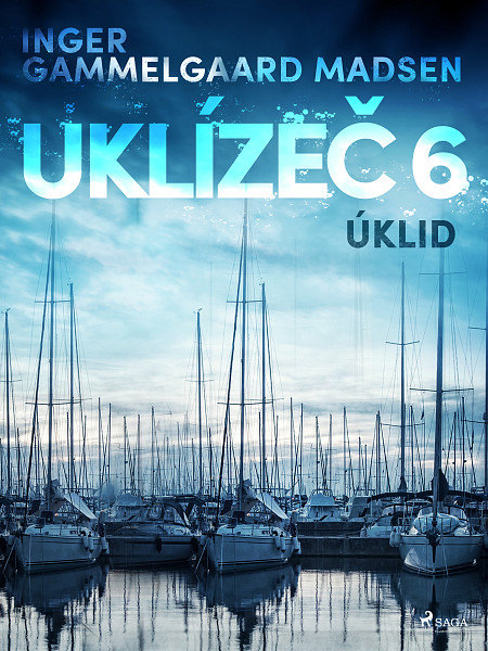 E-kniha Uklízeč 6: Úklid