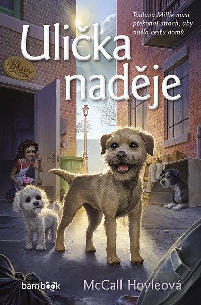 E-kniha Ulička naděje