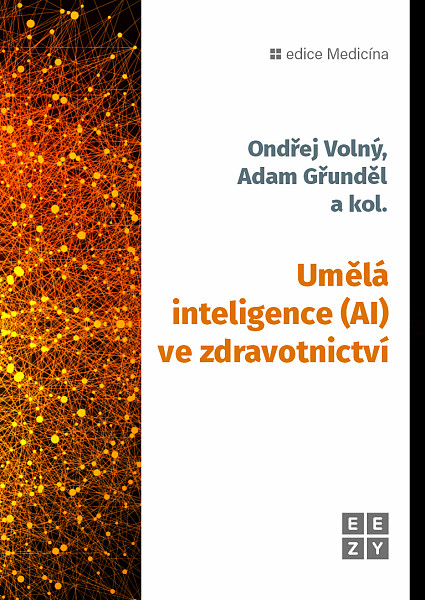 E-kniha Umělá inteligence (AI) ve zdravotnictví