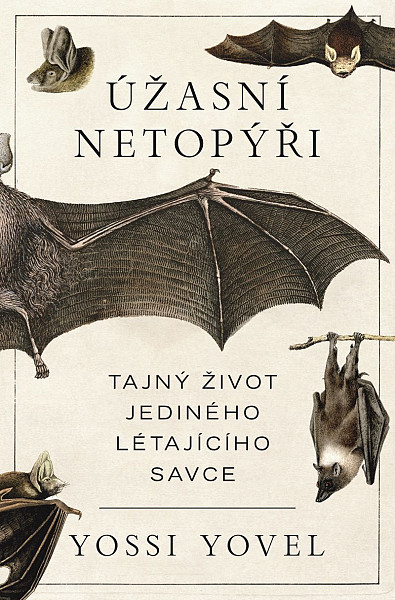 E-kniha Úžasní netopýři