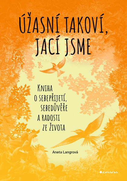 E-kniha Úžasní takoví, jací jsme