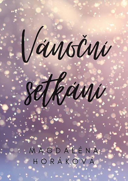 E-kniha Vánoční setkání