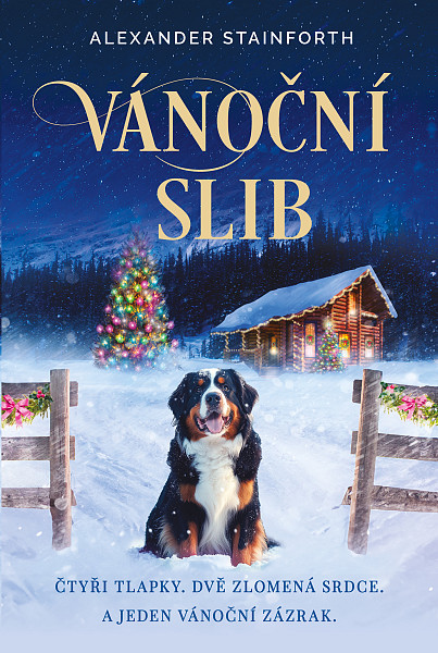 E-kniha Vánoční slib